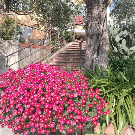 Bellavista Oda ve Kahvaltı