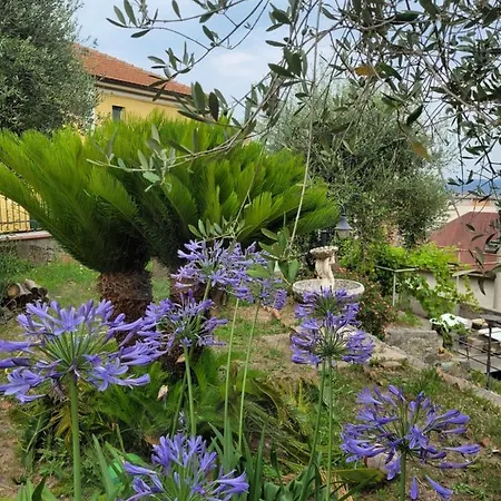 Bed & Breakfast Bellavista Savona