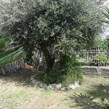 Bellavista 3* 萨沃纳