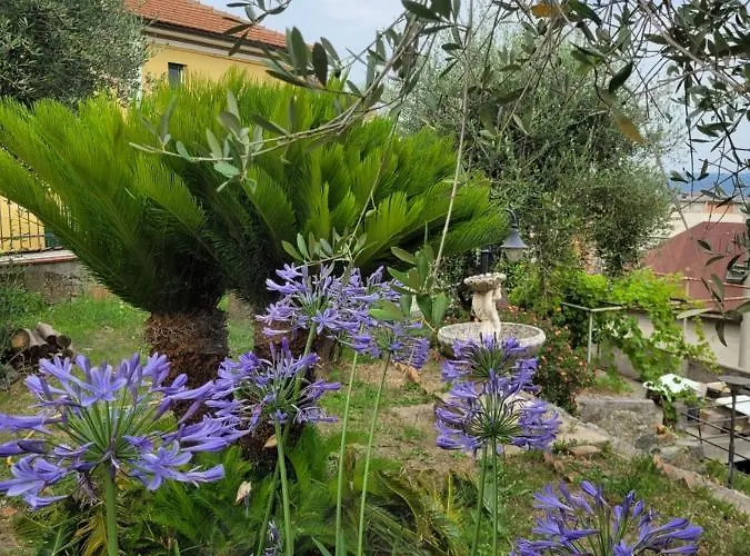 Bed & Breakfast Bellavista Savona